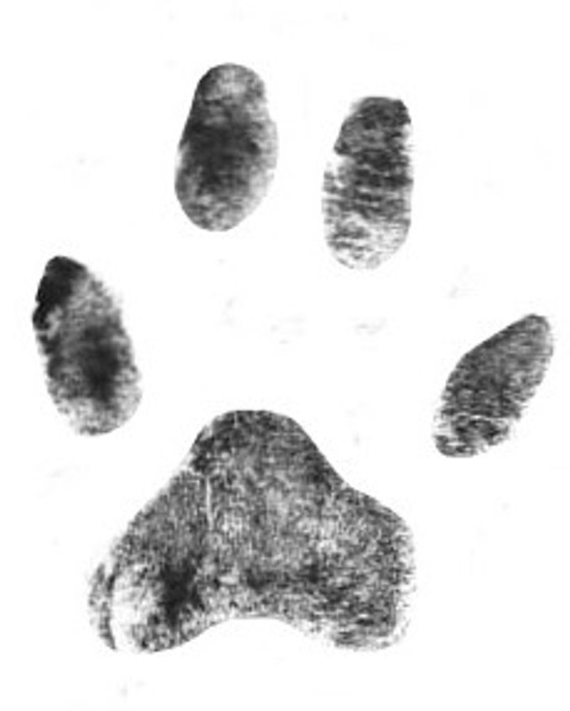 Avery Bentley Profile Photo