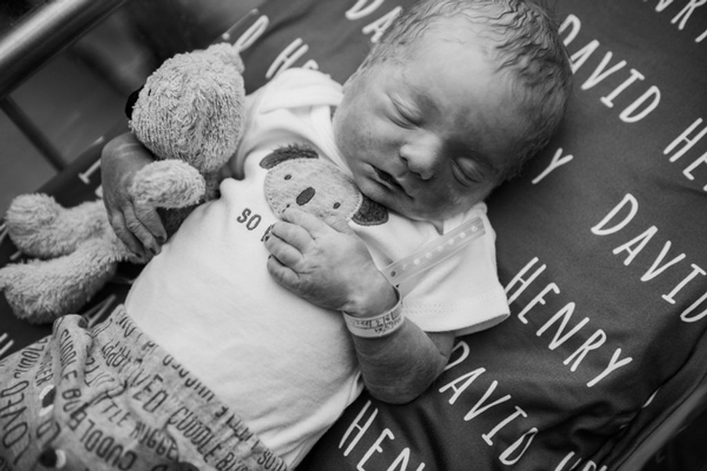 David Henry Wayne Duncan Profile Photo