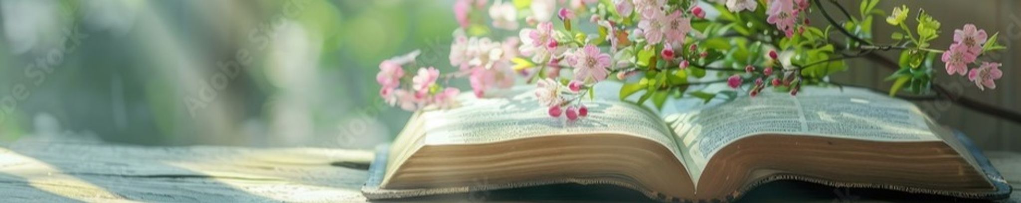 Cover for Elizabeth C. Benson's Obituary