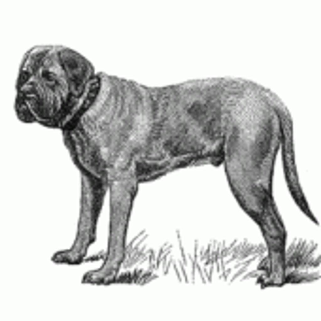 Indi Anderson Profile Photo