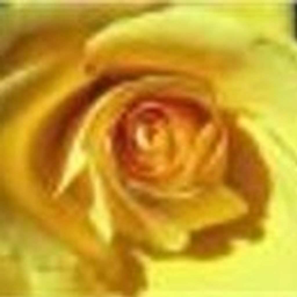 Ruth Fick Profile Photo