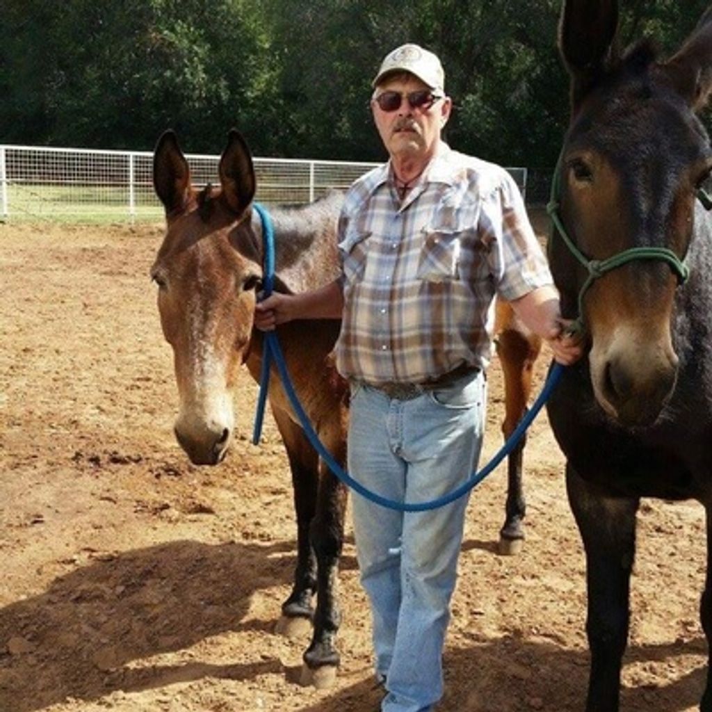 Eddie Rogers Profile Photo