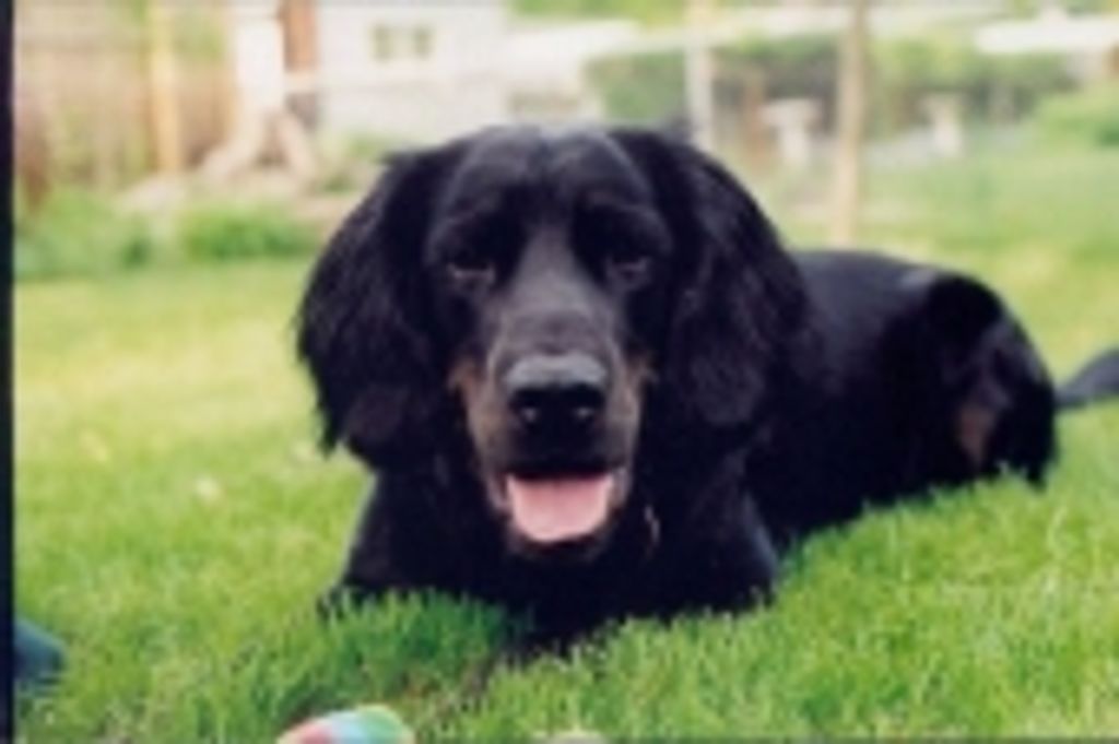 Marcus Bjorkquist Profile Photo