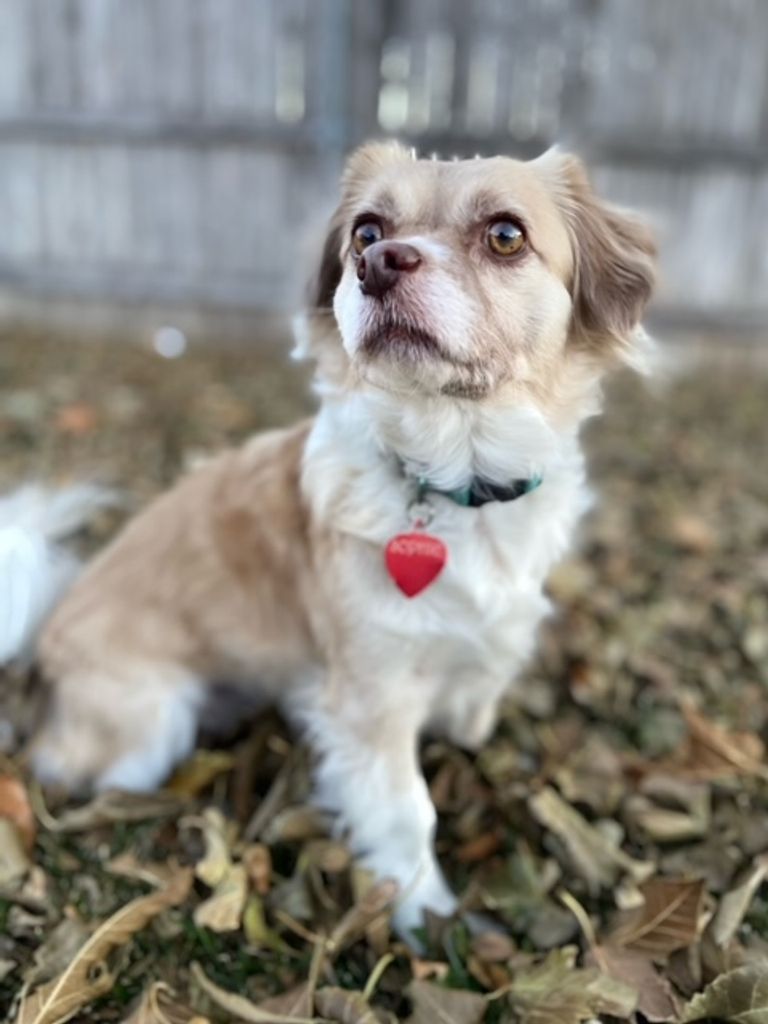 Sophie Profile Photo