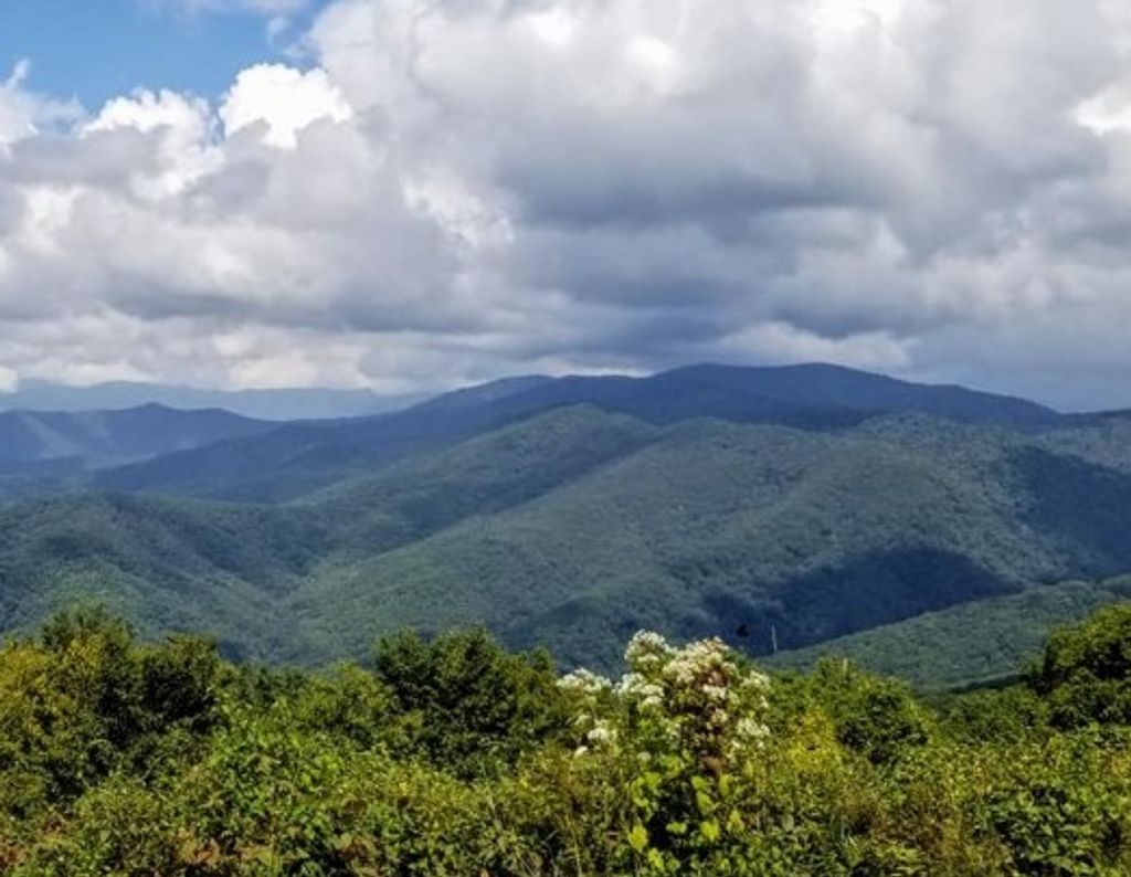 Arthur Mitchell Ball Profile Photo