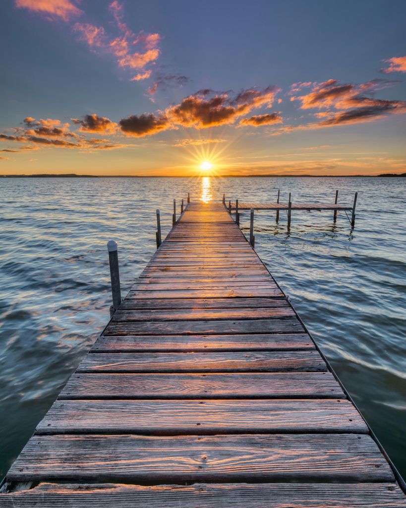 Dr. Margaret Harker Profile Photo