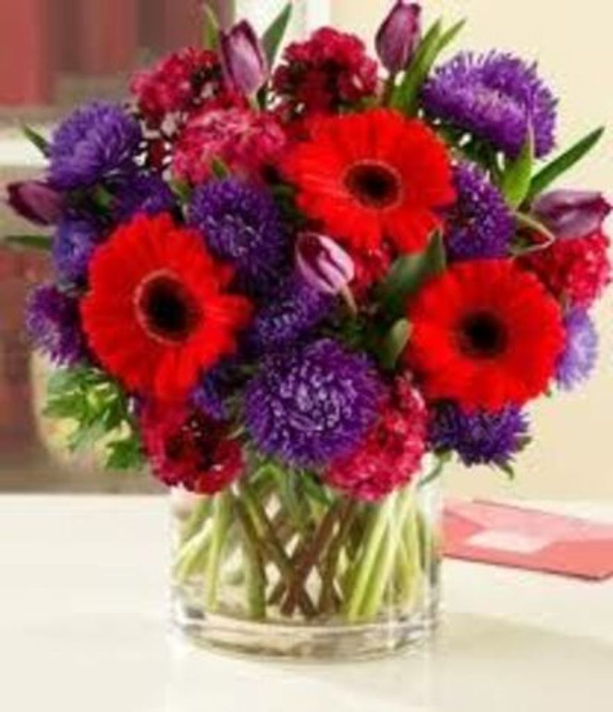 Claralee Dalton Profile Photo