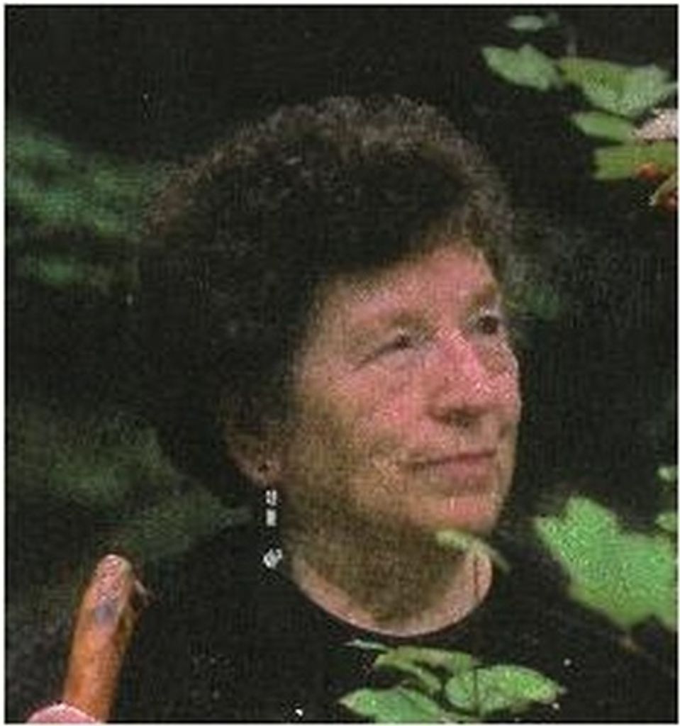 Mary Elizabeth Porro Profile Photo