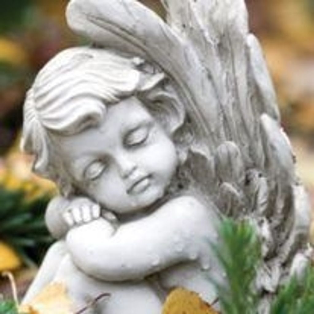 Elizabeth Ann Esposito Profile Photo