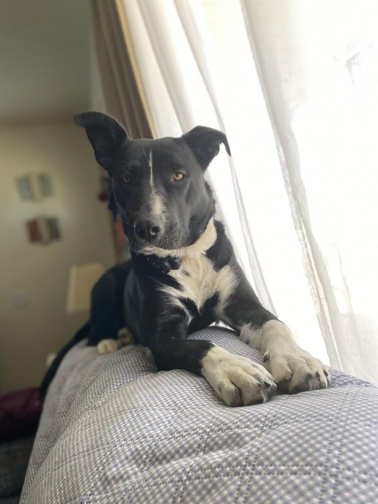 Bella Profile Photo