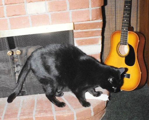 Linda L. Dilling photo gallery thumbnail 59 of 79