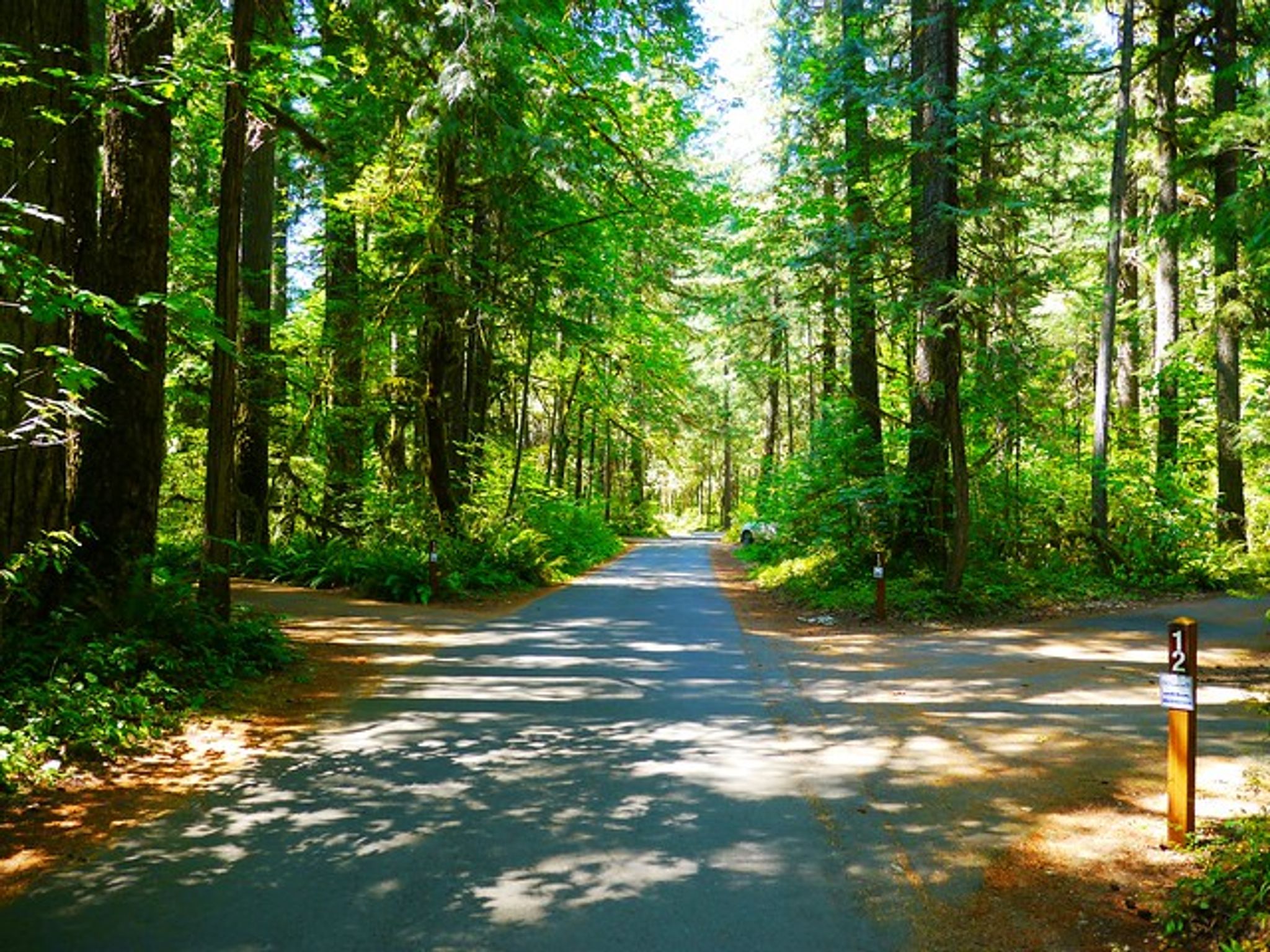 Cover for Lois Ann Forth's Obituary