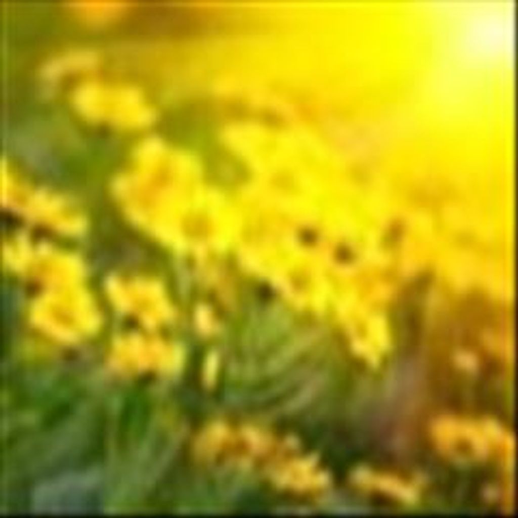 Margaret L. "Peggy" Orr Profile Photo