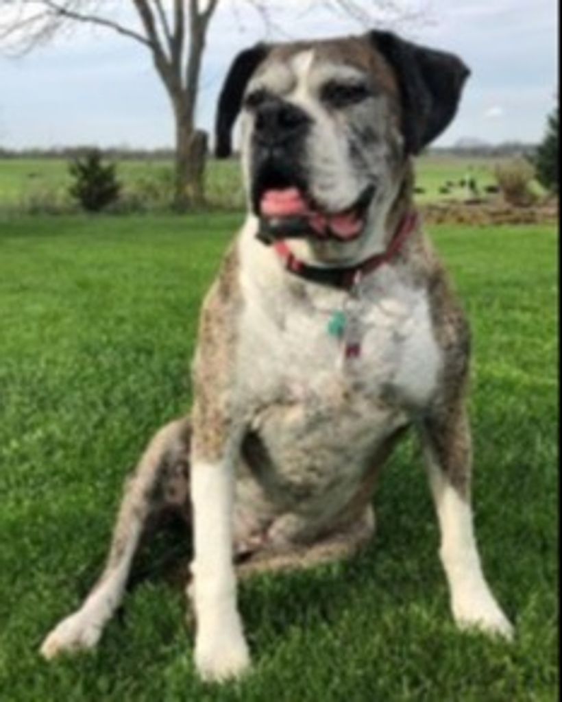 Zeus Oswalt