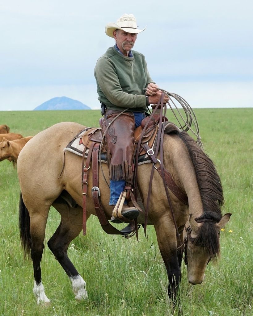 Glen Douglas Finkbeiner