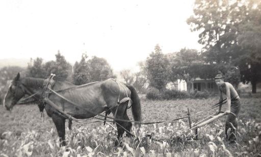 Gordon H. Tull photo gallery thumbnail 4 of 58