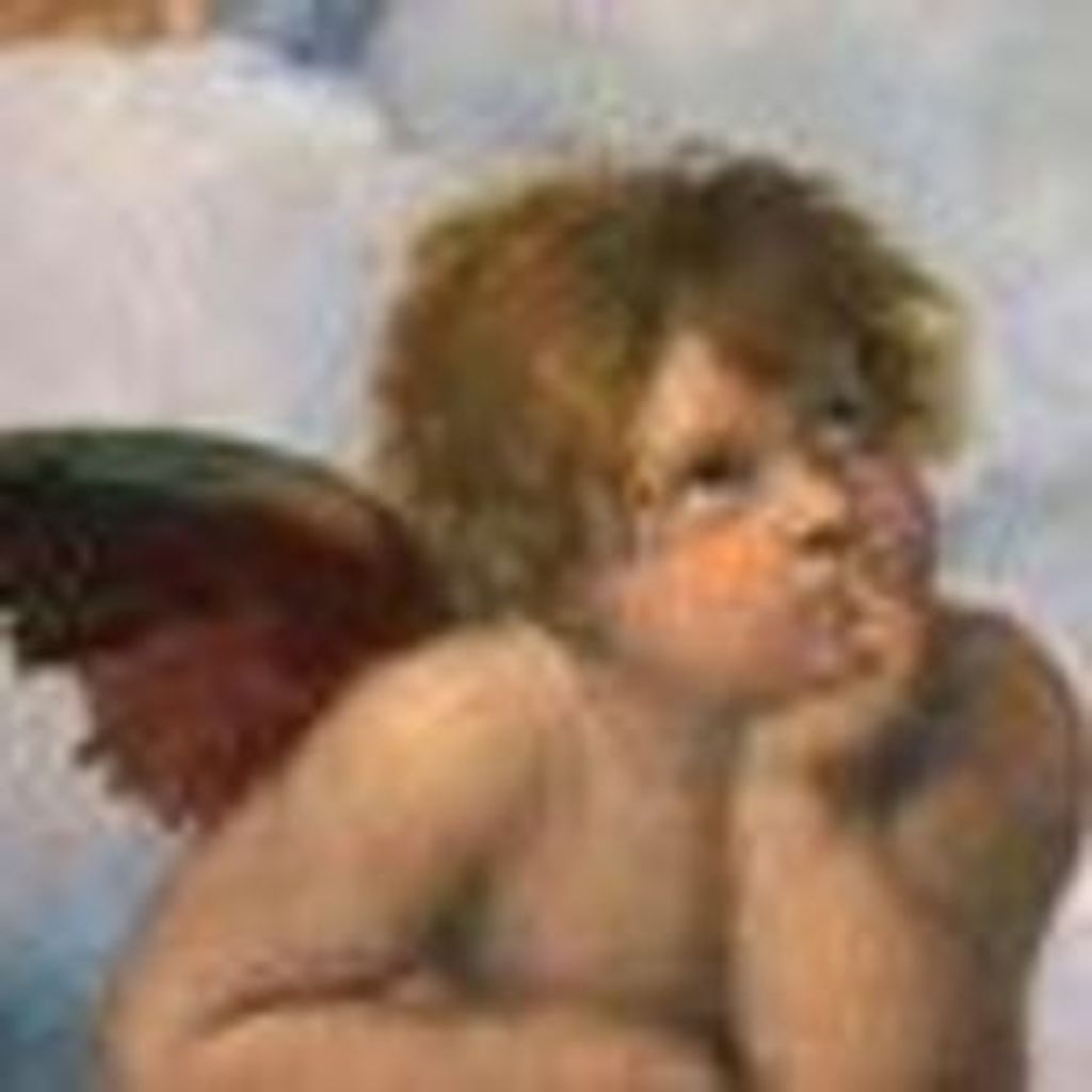 Rose C. Dombkowski Profile Photo