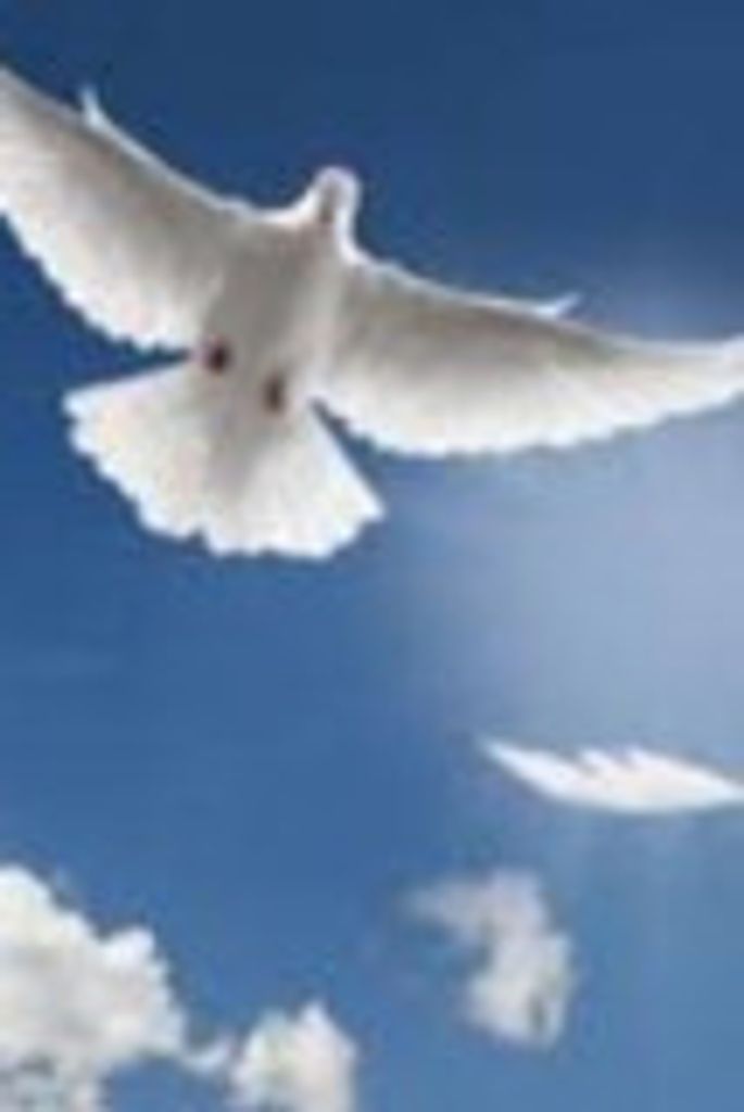 Kenneth Newby Profile Photo