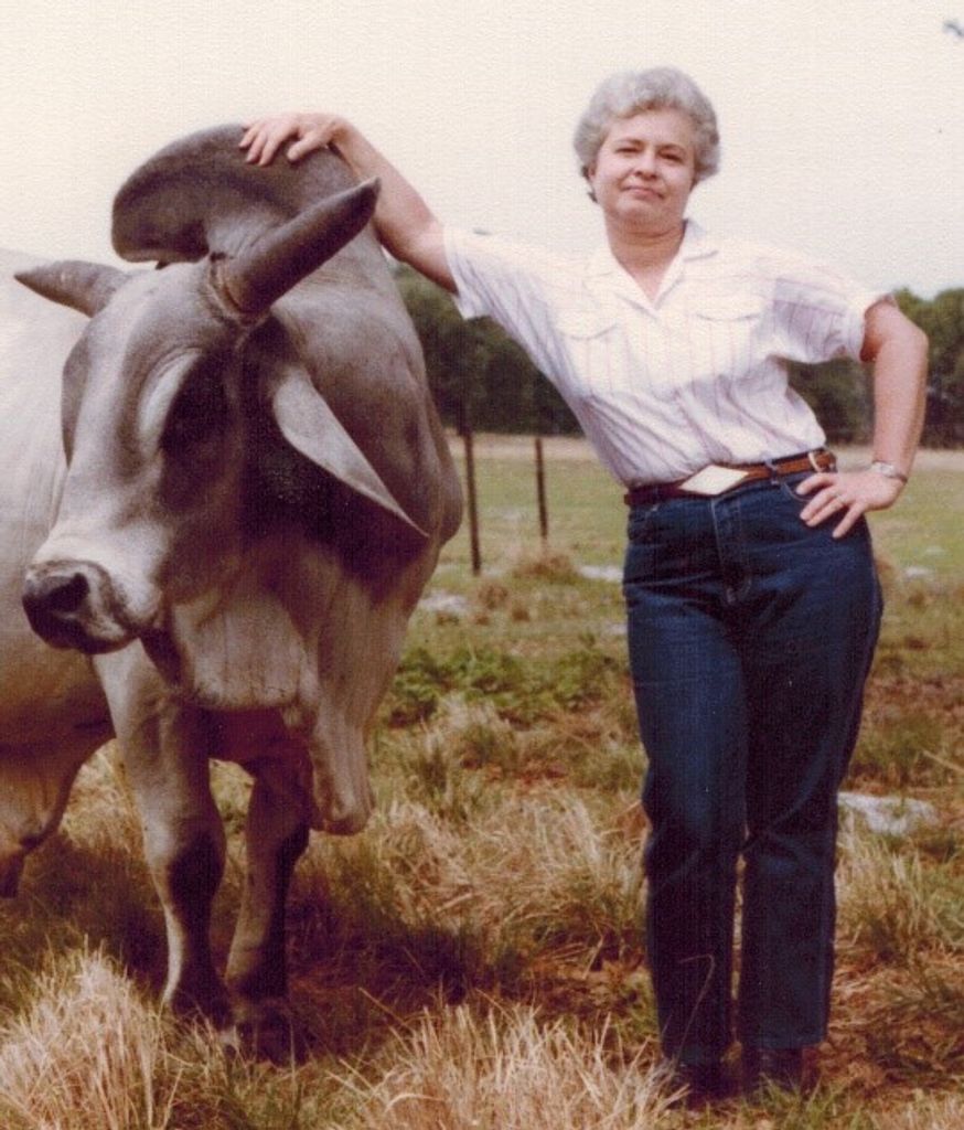 Donita Bell Lindamood