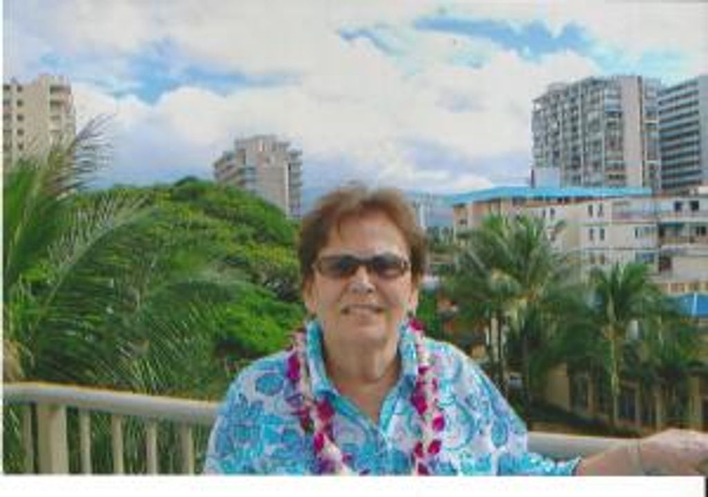 Nancy Lee (Cilio)  Link Profile Photo