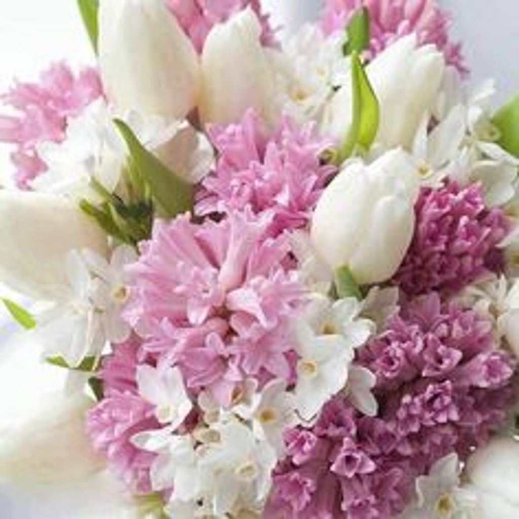 Winifred Frye Robinson Profile Photo