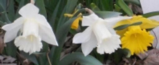 Timothy R. Bueb photo gallery thumbnail 1 of 1