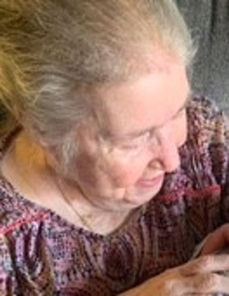 Peggy (Grainger)  Chestnut Profile Photo