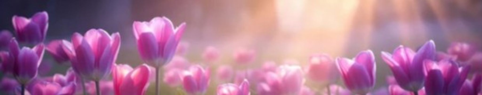 Cover photo for Laura Madsen's Obituary