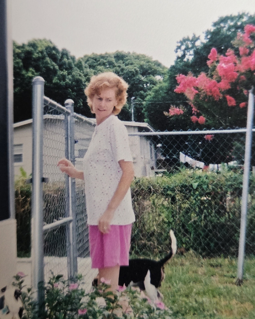 Linda Ann Young Profile Photo
