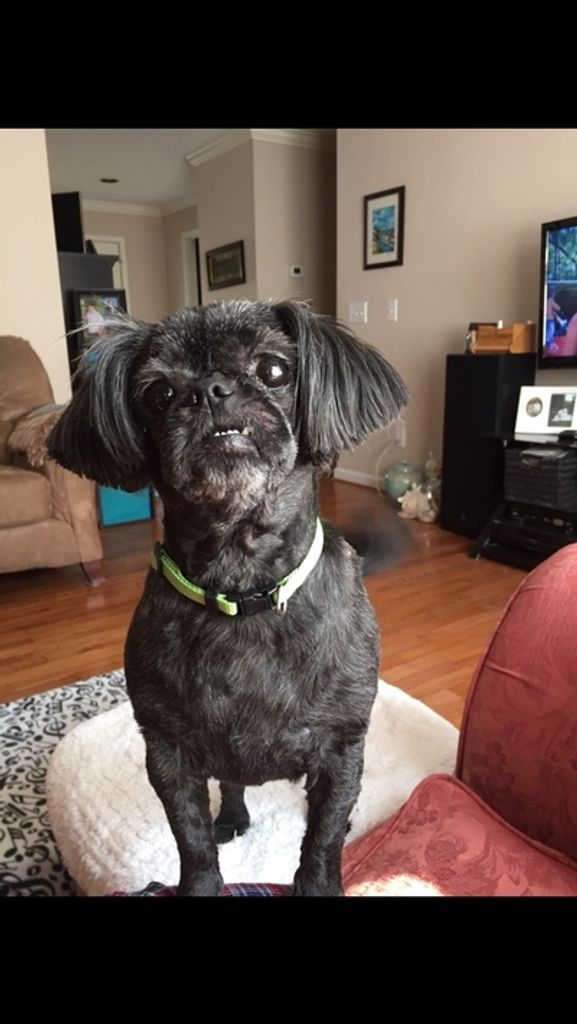 Daisy Hunsucker Profile Photo
