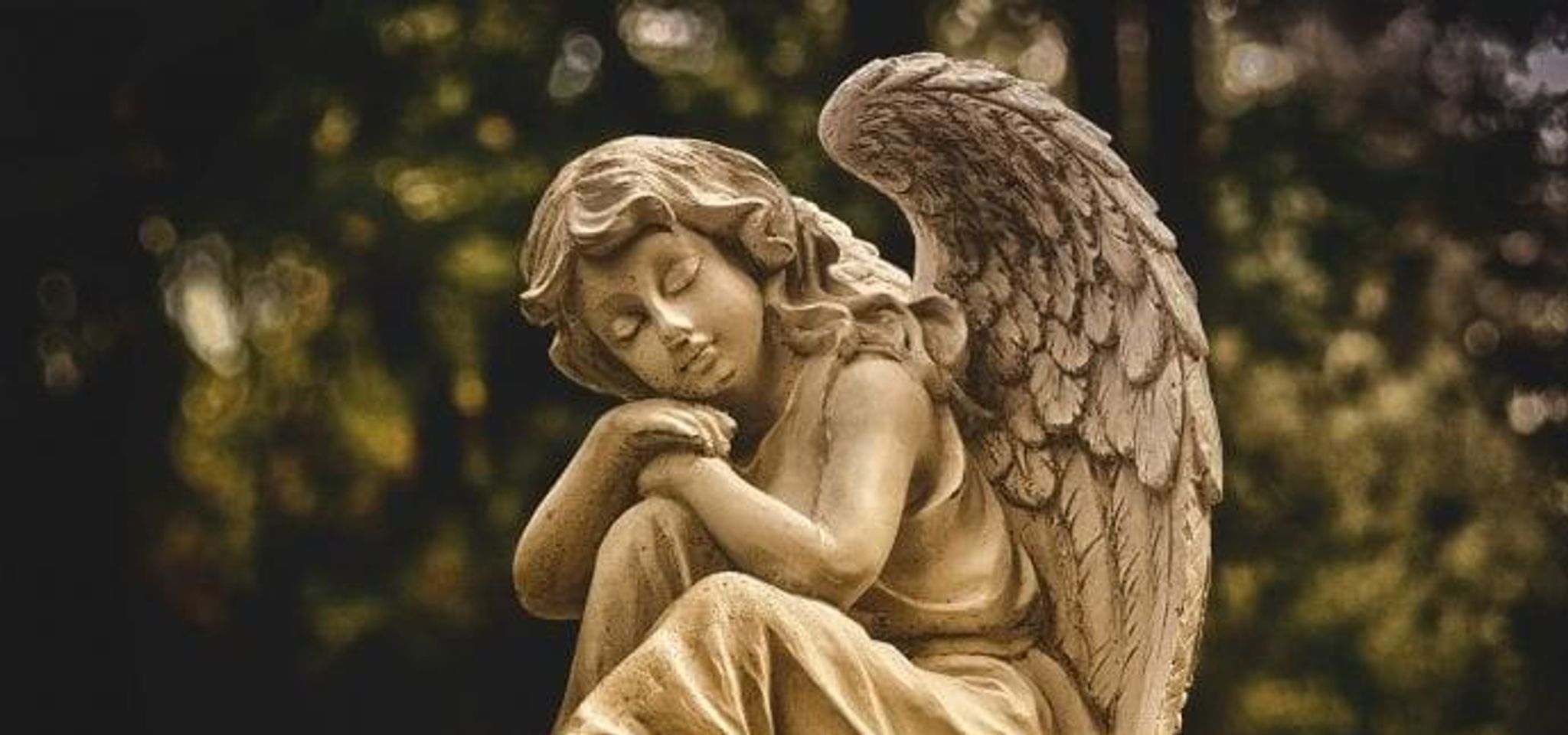 Cover for Carol Ann Conrad's Obituary