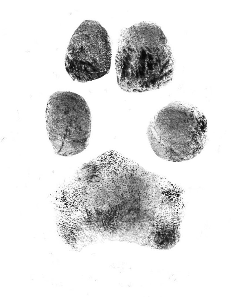 Frank Womack Profile Photo