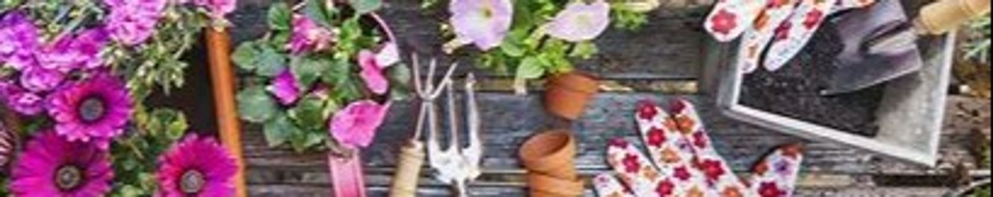 Cover photo for Sandra "Sandy" Kovach's Obituary