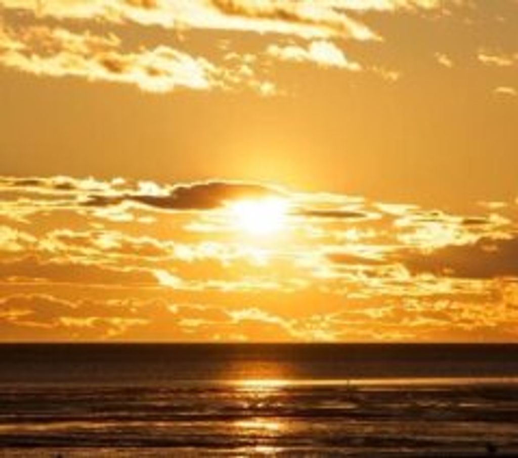 Carol Joyal (Lassila)