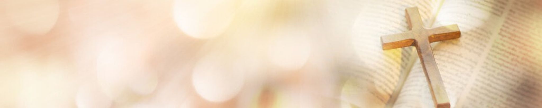 Cover for Elaine P. Stevens's Obituary