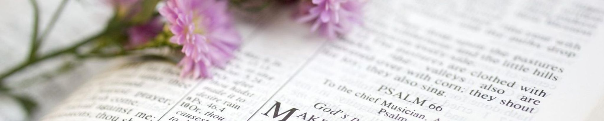 Cover photo for Gloria Galloway's Obituary