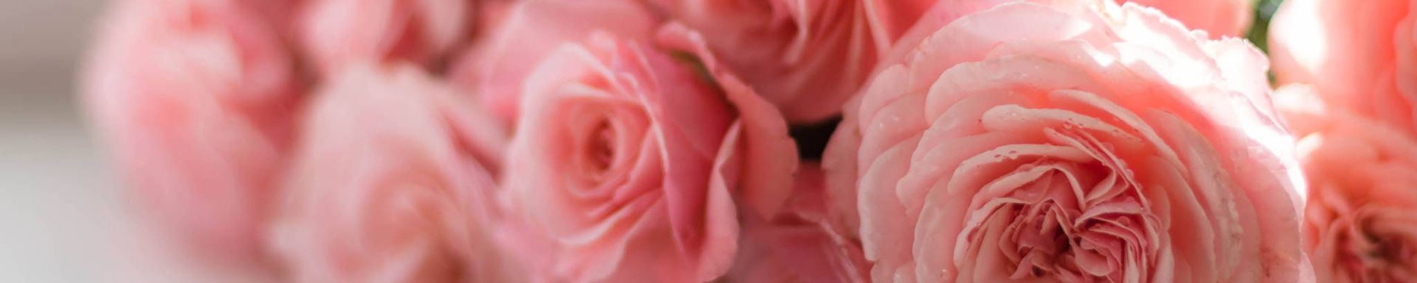 Cover for Doris Anne Krueger's Obituary