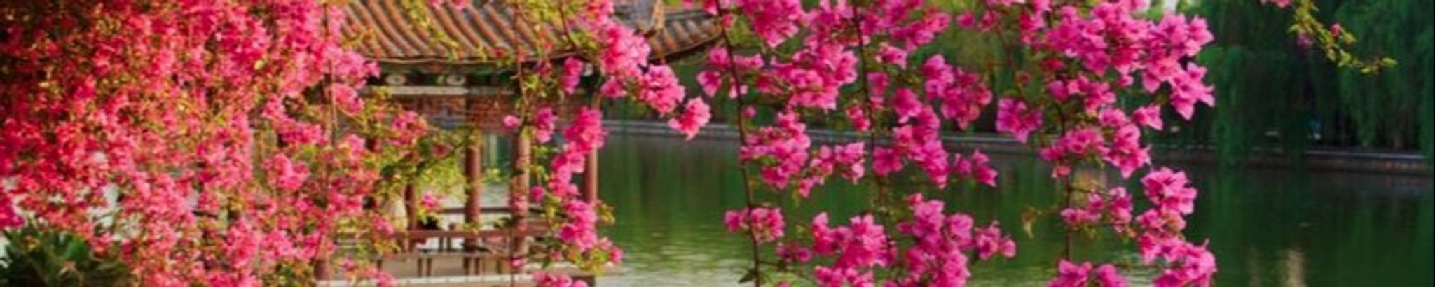 Cover photo for Lorraine Rhea Nix's Obituary