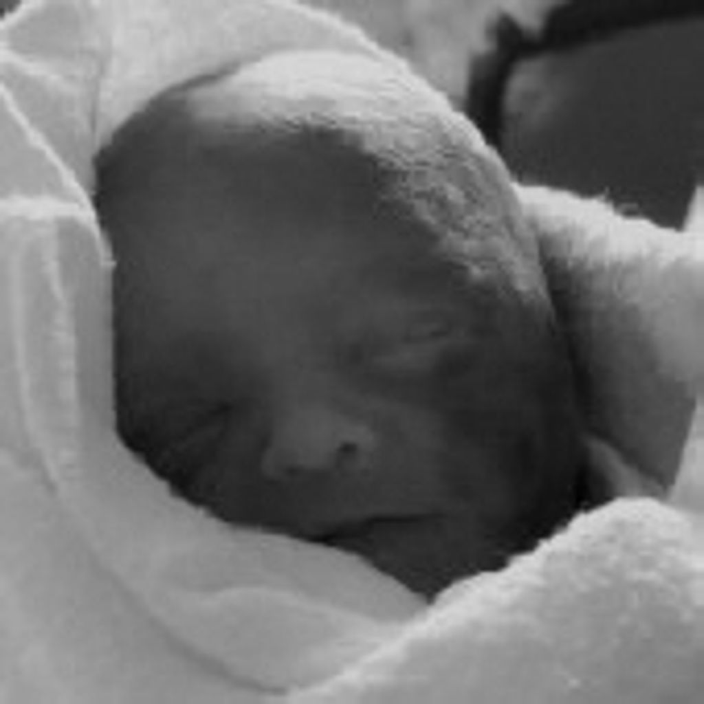 Braxten David Volkema