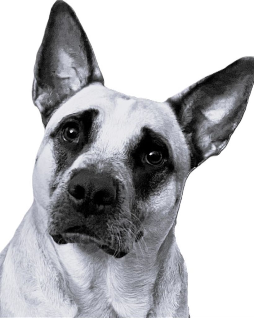 Doctor Chew "Chewy" Eckhart Profile Photo