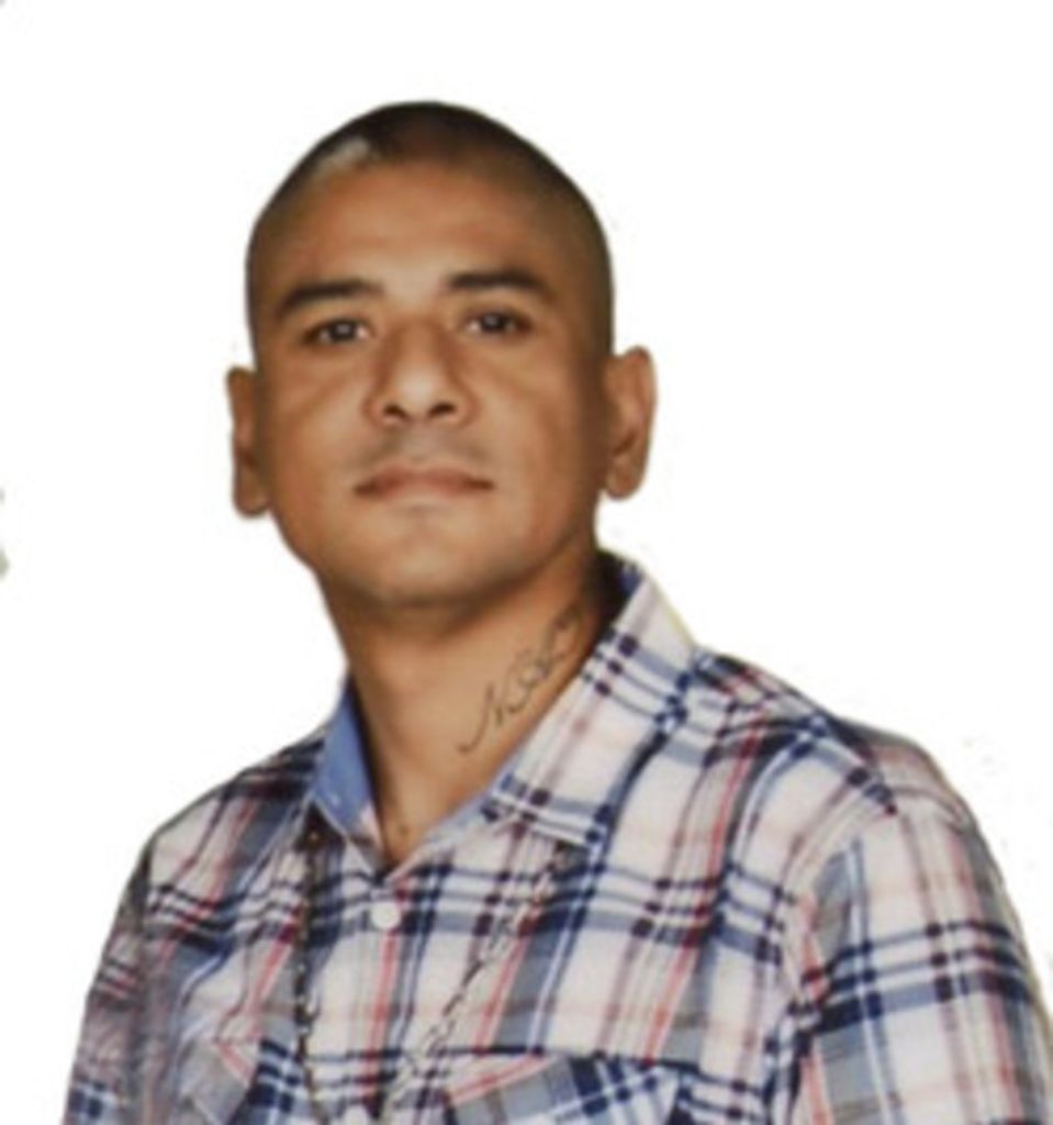 Jose Layton