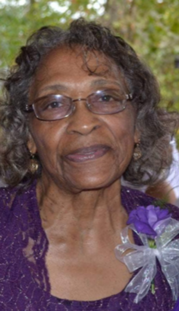 Mrs. Fannie D. Haskin Profile Photo