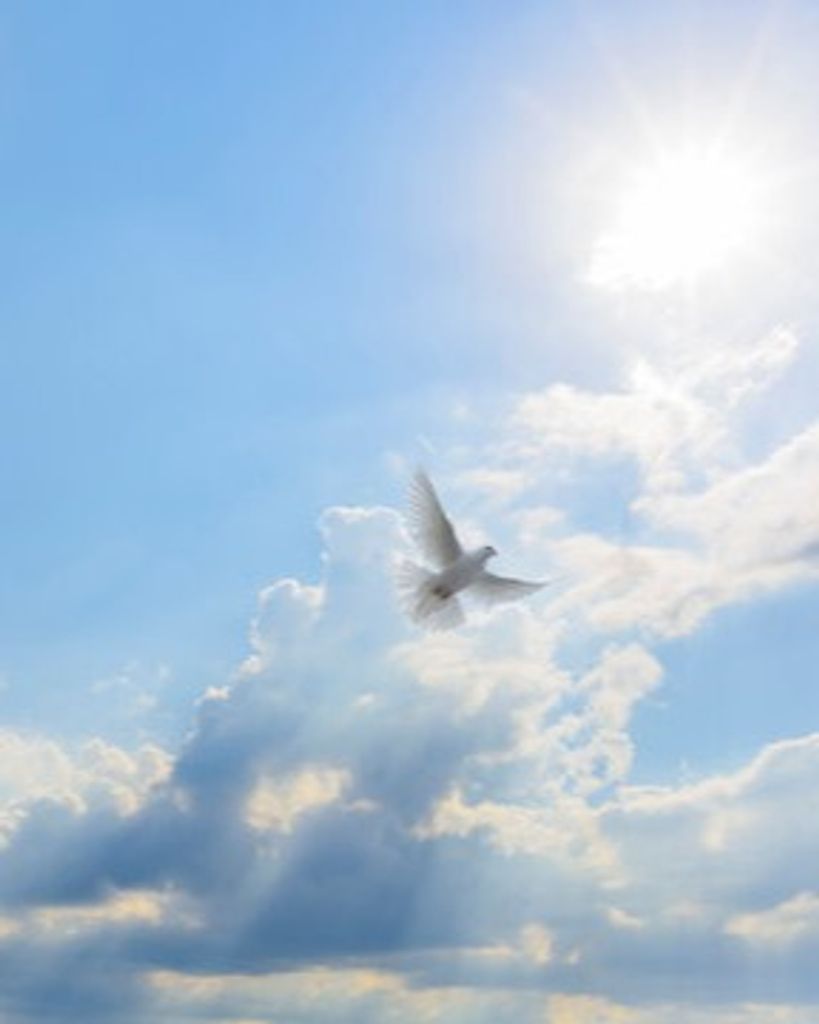 Roger Dale Howard Profile Photo