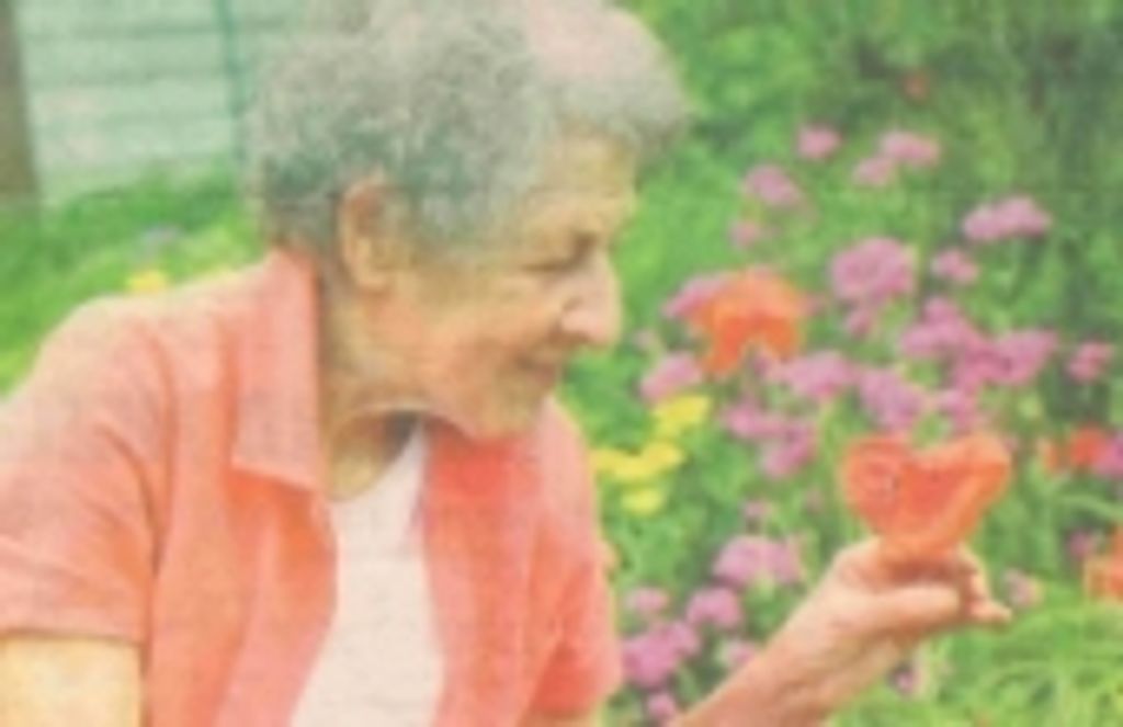 Anne E. (Carriuolo) Gillis