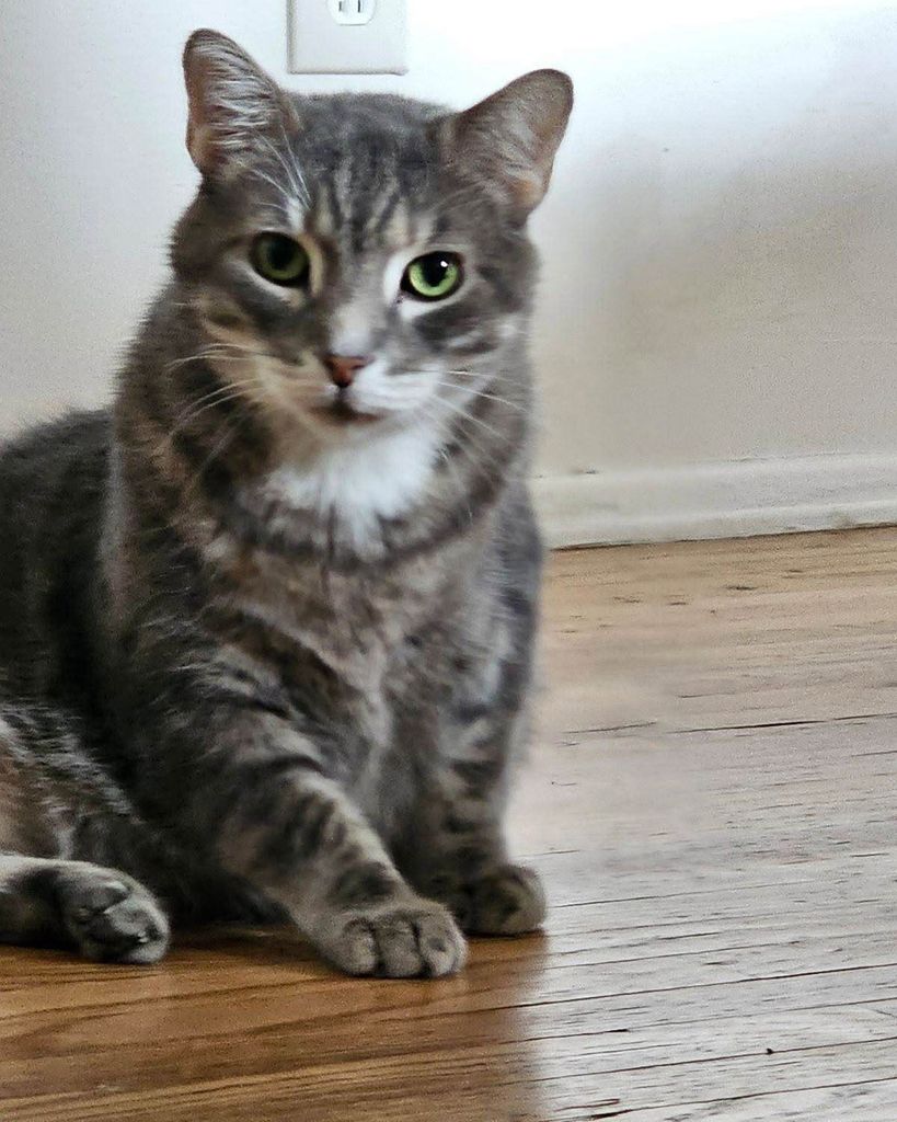 Leo