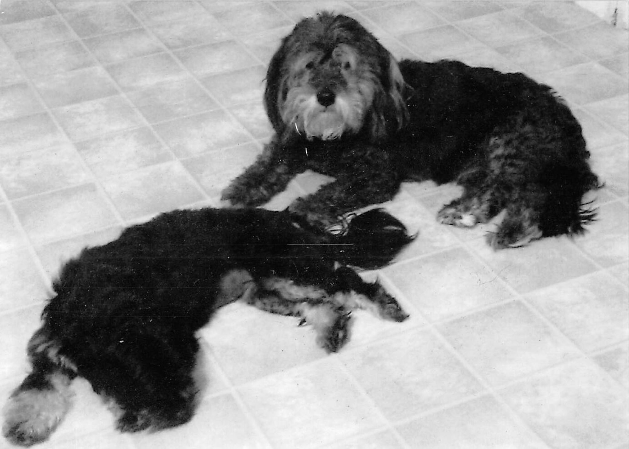 Barbara Kaufman photo 2 of 50