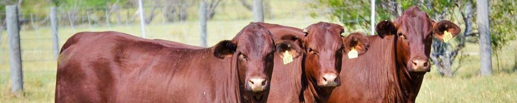 Cover for Charles E Parker's Obituary