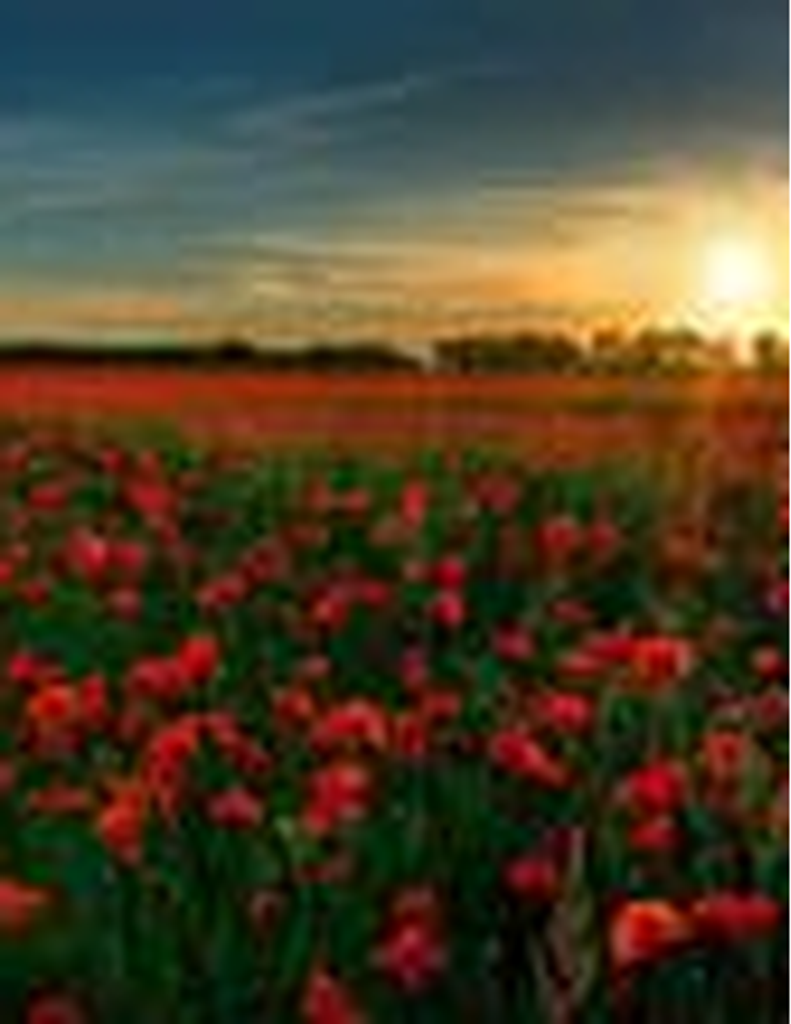 Charlie Elbert Canady, Sr