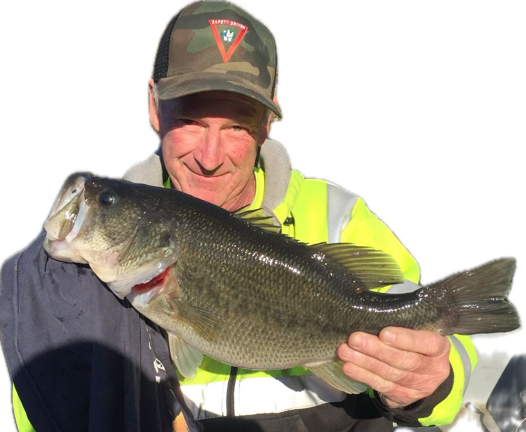 Robert Normand Rodrigue Profile Photo