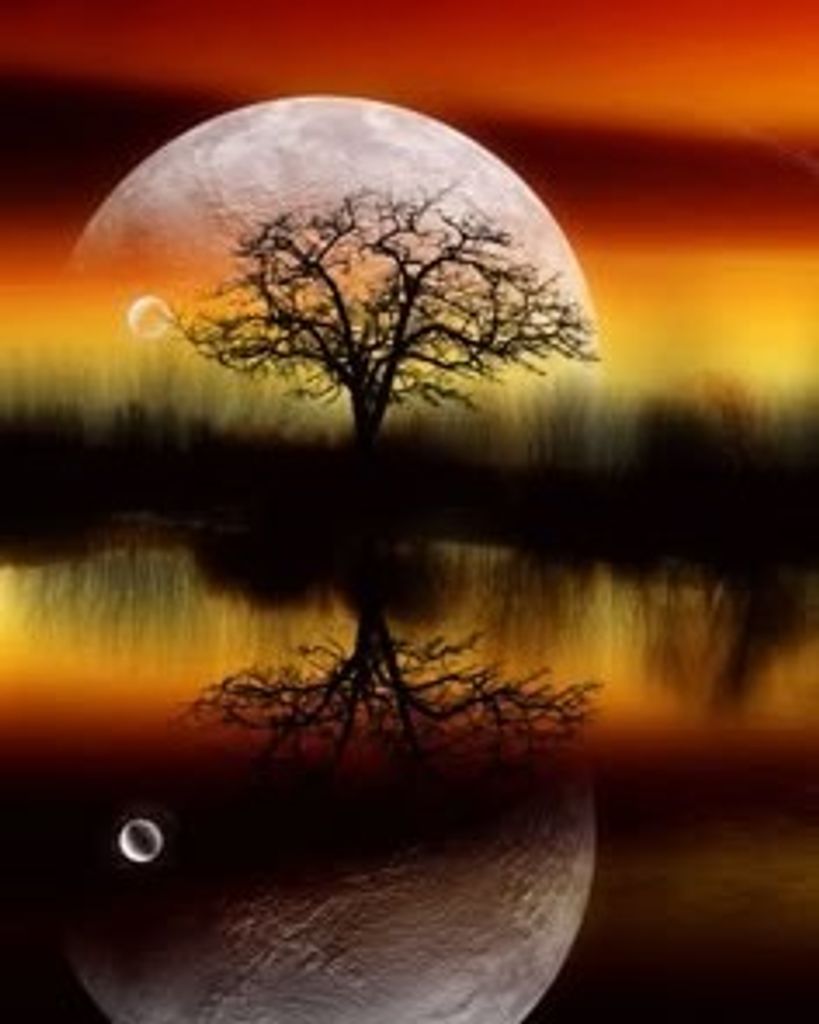 Matthew Blair Winston Profile Photo